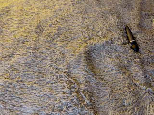 JacqulineHiltebeitel