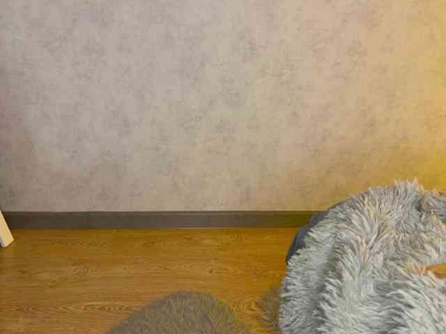 JacqulineHiltebeitel