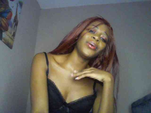dolly-ll