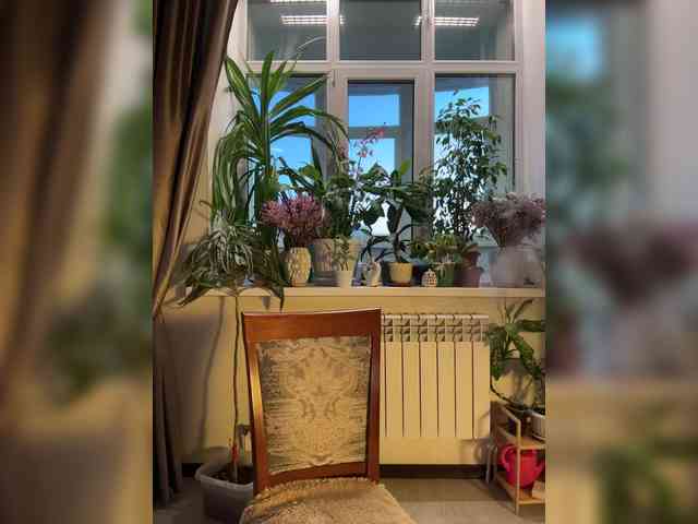 WednesdayFridayAddam