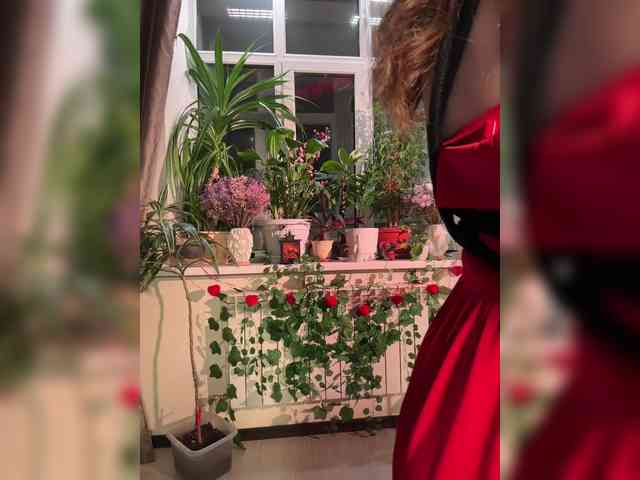 WednesdayFridayAddam