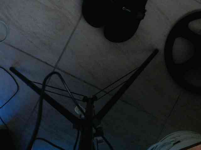 Lissysss