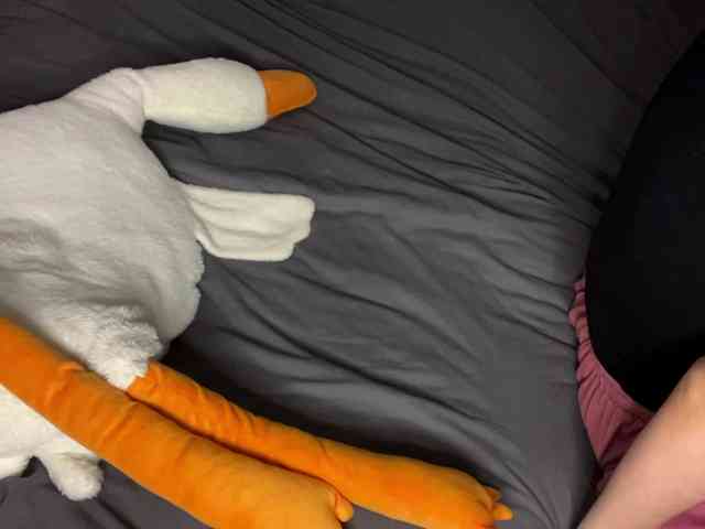 ViollaFoxxyy