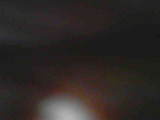 Payal-1-1