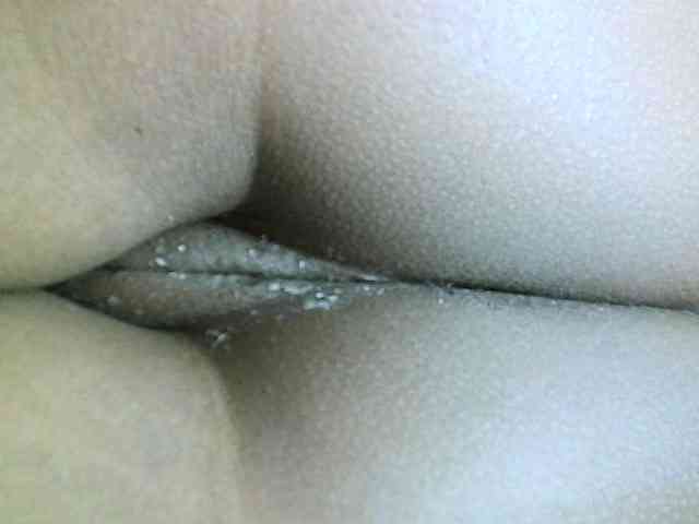 Avrilhunt