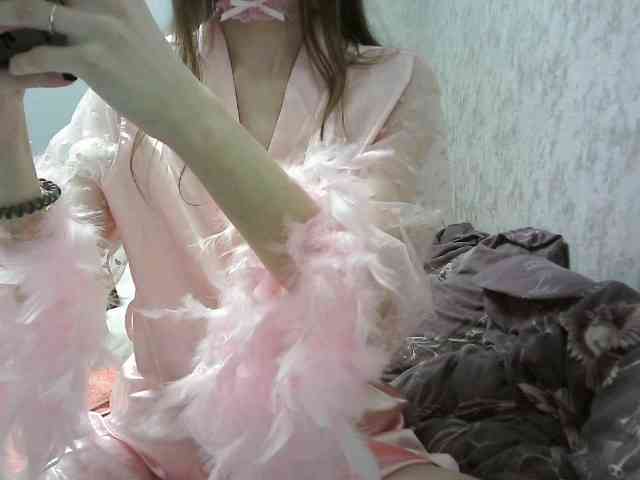 KittyBounty