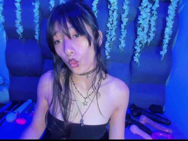 DaniDream