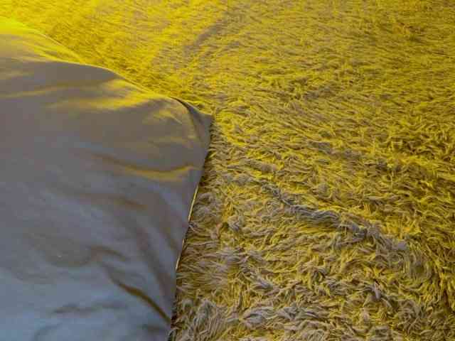 JacqulineHiltebeitel