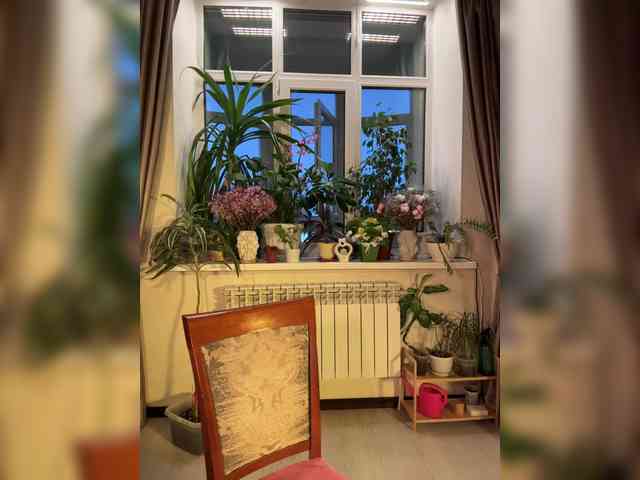 WednesdayFridayAddam