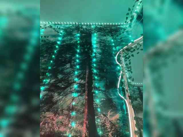 -Summer-