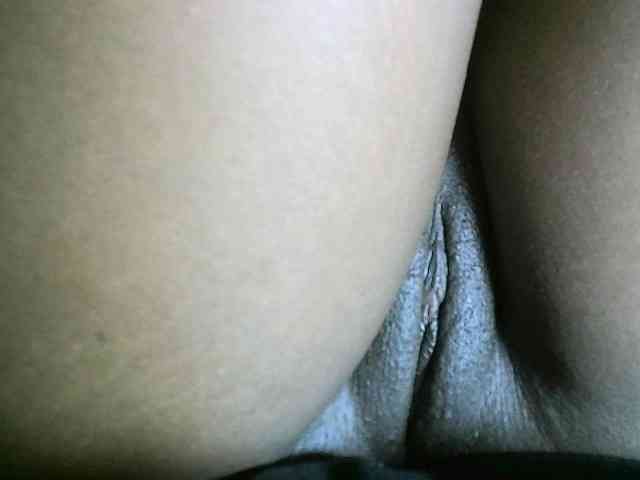 Avrilhunt