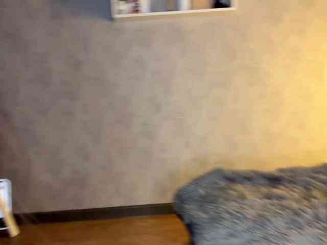 JacqulineHiltebeitel