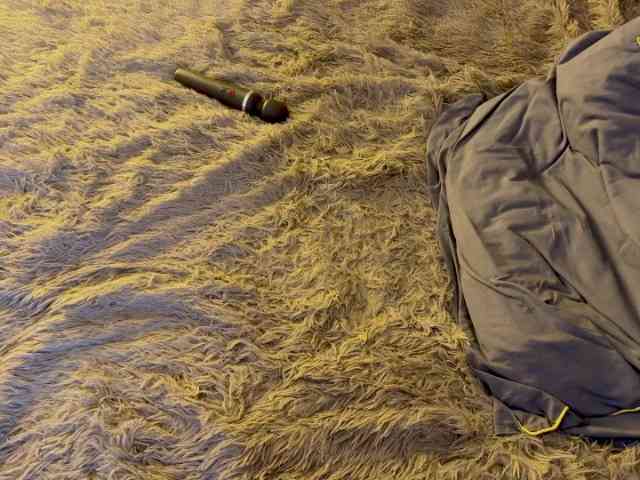 JacqulineHiltebeitel