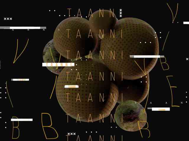 Taanni