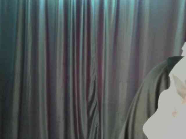 KateMooss