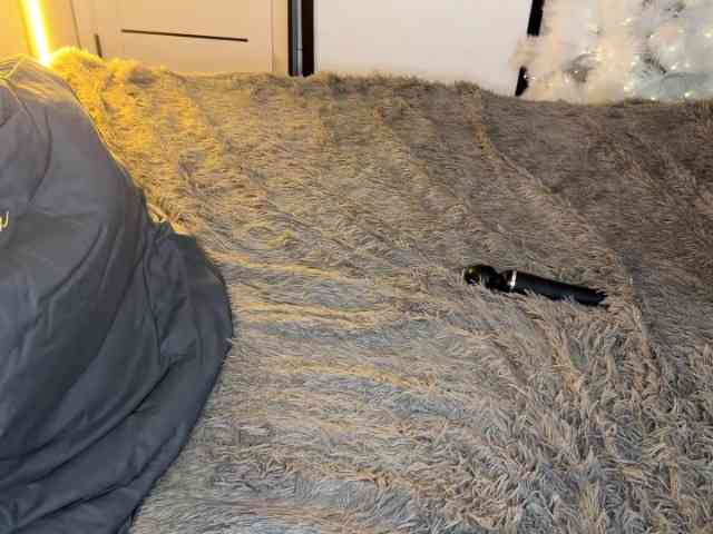 JacqulineHiltebeitel