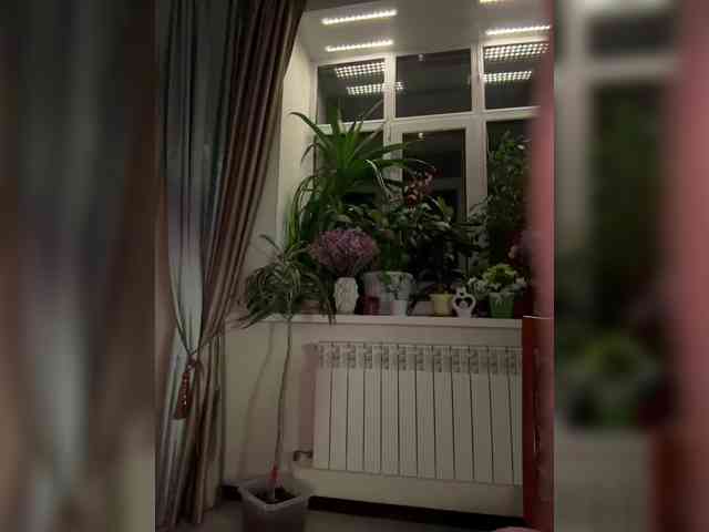 WednesdayFridayAddam