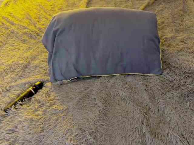 JacqulineHiltebeitel