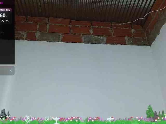 Angelamontes