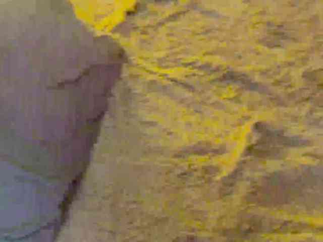 JacqulineHiltebeitel