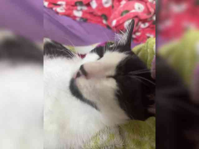 Valen2you