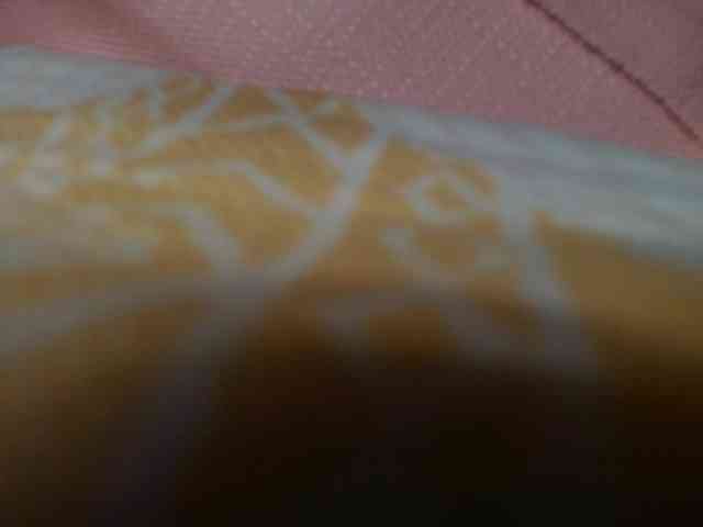 gabry-leone
